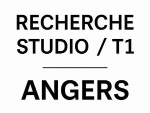 Personne seule  calme cherche studio ou T1 à Angers