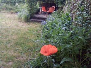 Appartement location