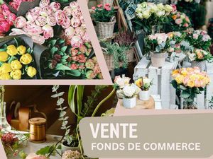 Vente commerce 90 m² Faverges-Seythenex (74210)
