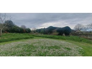 Vente terrain 900 m² à Champmillon (16290)  28 000 €