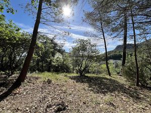 Vente terrain 2472 m² à Saint-Jean-du-Pin (30140)  54 000 €