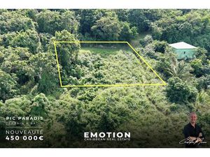 Vente terrain 3000 m² à Saint-Martin (97150)  450 000 €