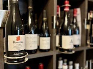 Vente locaux professionnels à Val-de-Meuse (52140)  470 000 €