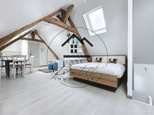 Studio Meublé Sous Combles