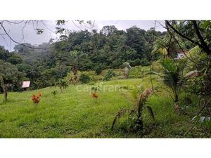 Dpt Guyane (973)  à vendre Terrain Constructible de 11 198 m² à Matoury – Chemin Paramana