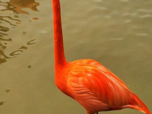 Recherche location durable