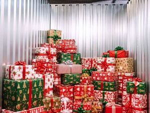 Box de Noël / Stockage d’Hiver