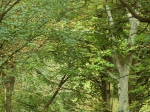 Recherche terrain loisirs