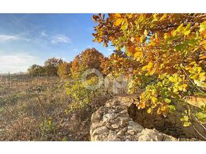 Terrain Fourques m² T- à vendre  15 000 €