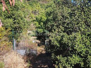 Terrain de loisirs de 4 296 m² à Roquebrune-Sur-Argens