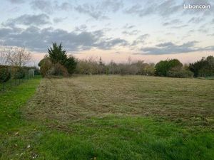 Terrain constructible