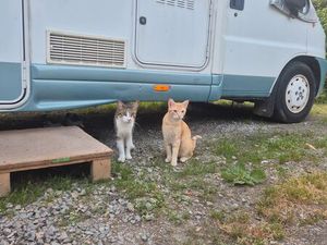 Recherche location ou achat sur terrain avec mobile home ou place pour le Camping-car que 