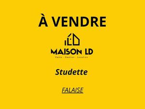 Vente Appartement T1 à Falaise (14700) : à vendre T1 / 11m² Falaise