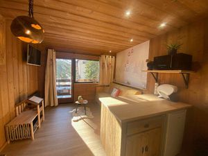 PRAZ DE LYS : STUDIO-COIN MONTAGNE