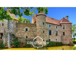 Château à vendre au coeur du bocage bourbonnais sur un parc de 1 5 Ha