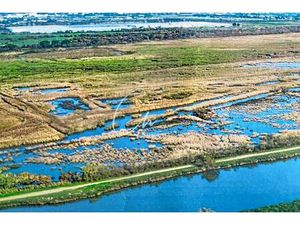 Achat Maison 80 pièces 4 200m² AIGUES MORTES 30220