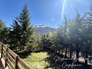 Vente maison 5 pièces 78 m² Montclar (04140)