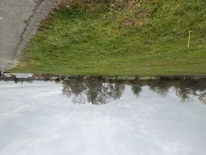 Vente terrain la force