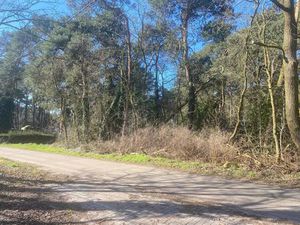 Grond te koop in Balen