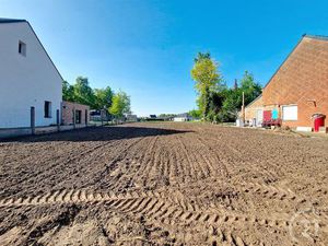 Grond te koop in Begijnendijk