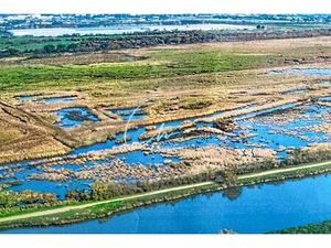 Villa de luxe en vente Aigues-Mortes  Occitanie