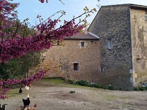 Domaine à Avignon 4 gites et 1 habitation principale