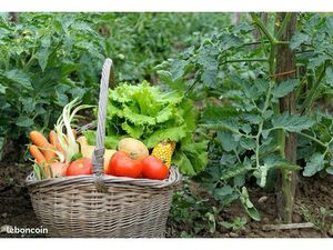 Parcelle de jardin potager aix les bains familial