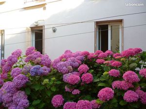 Appartement 1 pièce 24 m²