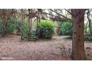 Terrain boisé 2ha Rives du Loir en Anjou/ Villevêque 49140