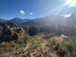 Terrain Vero 1900 m2