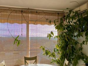 T3 de 60 m² + Terrasse 20 m² + Parking sous-sol