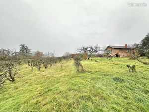 Propriété 4 pièces 85 m²