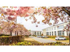 425 m² de bureaux élégants près de Leuvensesteenweg