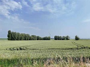 terrains agricoles libres
