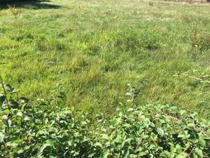 Terrain constructible viabilisé à vendre