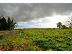 Grand terrain à construire - Situation hameau - Campagne