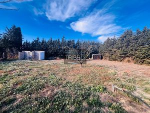 Terrain de loisir 1995m2 - clôturé  facile d'accès  avec for