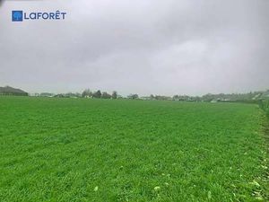 Vente Terrain à Saint-Gonnery (56920) : à vendre / 10304m² Saint-Gonnery