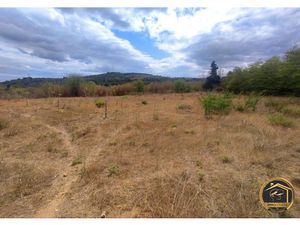 Vente terrain 5260 m² à Portel-des-Corbières (11490)  34 190 €