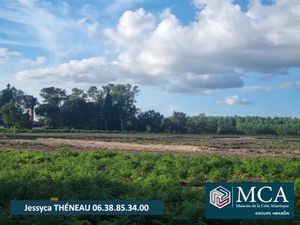 Vente terrain 926 m² à Laluque (40465)  74 080 €