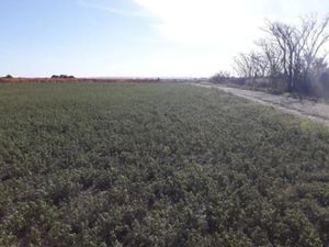 Vente terrain 500 m² à Rieux-Minervois (11160)  54 900 €