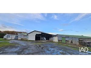 Vente Hangar 1 300 m²