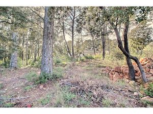 Vente terrain 900 m² à Trans-en-Provence (83720)  149 000 €