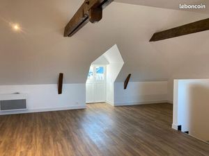 Grand T3 Cosy Centre Ville