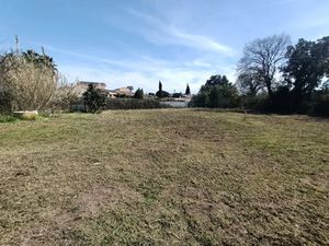 Vente terrain 726 m² à Puget-sur-Argens (83480)  240 000 €