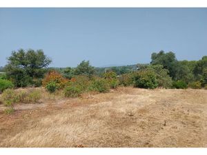 Vente terrain 839 m² à Frejus (83600)  325 000 €
