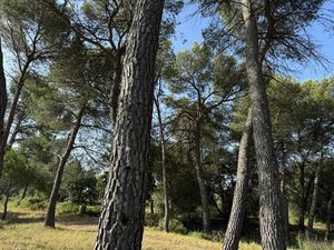 Vente terrain 1040 m² à Guzargues (34820)  319 000 €