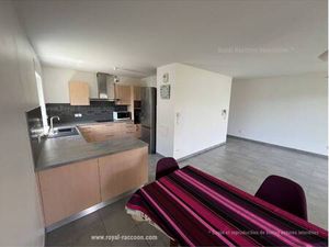 Royal Raccoon Immobiliere