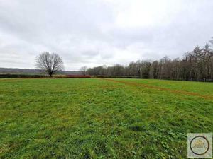 Terrain à bâtir plat de 17 ares à Sivry-Rance Sud-Ouest !