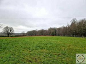 Terrain à bâtir plat de 25 ares à Sivry-Rance Sud-Ouest!
